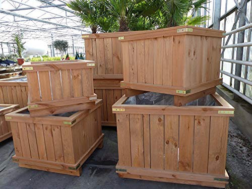 JH Grünwaren GmbH & Co. KG Holzkübel XXL Pflanzkübel Kübel Holz (70x70x50 cm)