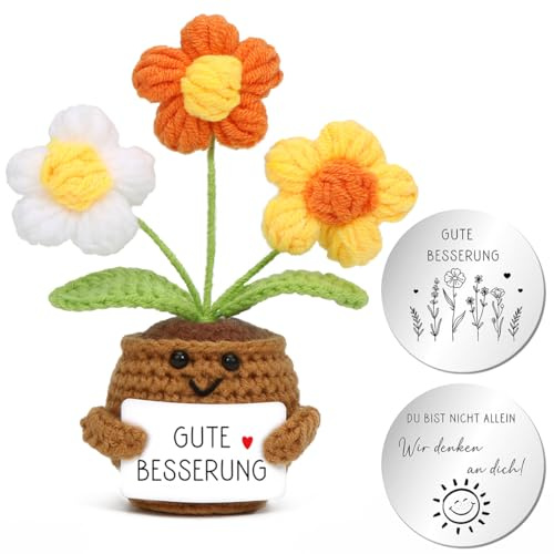 Aurasky Gehäkelte Blumen, Gute Besserung Blume, Pocket Hug Deutsch mit Umarmung Glücksbringer, Gestrickte Blumenpuppe, Mutmacher Geschenk für Freund Familie Kollegen