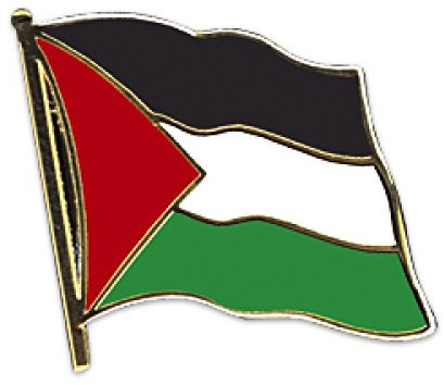 Everflag Flaggen-Pin vergoldet : Palästina