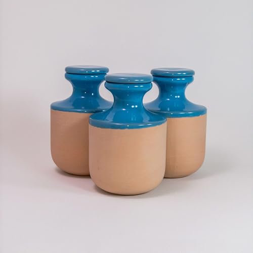 3 oyas à enterrer de 500 ml en couleur avec leur couvercle - ollas pour arroser tous type de plante d'intérieur et extérieur (Bleu)