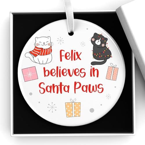 Kitten Cat Personalised Christmas Tree Decoration, 1st First Christmas Cat, Believes In Santa Paws Ornament, Christmas Gifts for Cat Kitten, With Gift Box