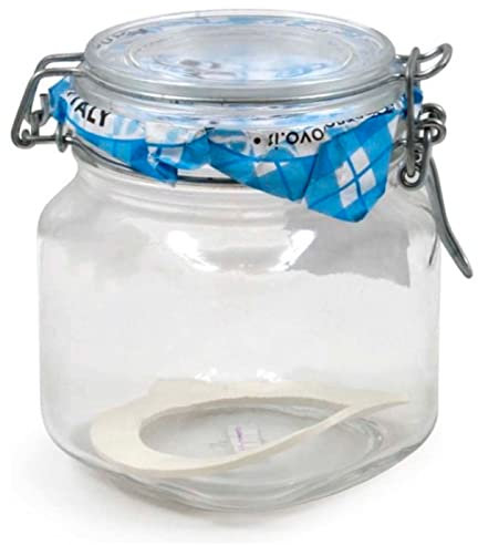 Tradineur Primizie Bocal en verre hermétique avec joint en caoutchouc, pot multi-usages pour conserves, légumineuses, pâtes, biscuits, 13 x 10 cm, 750 ml