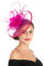 Sinamay Serre-tête bibi à plumes et fleurs pour femme Course Royal Ascot Pilulier Mariage Cocktail Thé Fête Derby Chapeau pour femme, SG-Rose, M