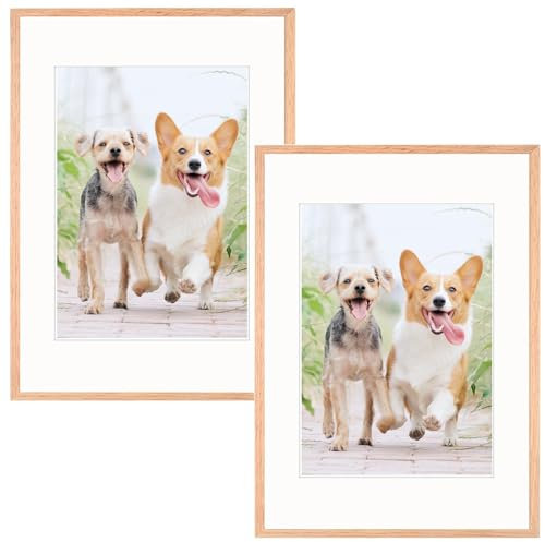 Weikani A4 avec cadre photo mat, paquet de 2-21x30cm cadre photo noir plexi verre, cadre de certificat pour affichage mural ou de bureau, set de 2