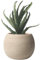 Banziaju Pot en céramique, Grands Pots en céramique pour Les Plantes ouvrant de l'eau-Absorbant et Respirant intérieur Succulent Planter pour Plantes, Beige, 14x14x10,5 cm