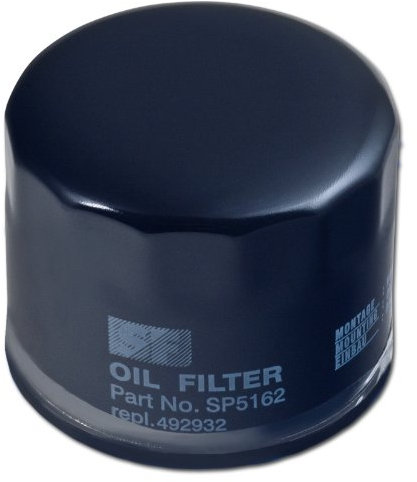 ARNOLD - Ölfilter passend für Briggs und Stratton, Vanguard, Intek, Powerbuilt Motoren; 3111-B1-0016