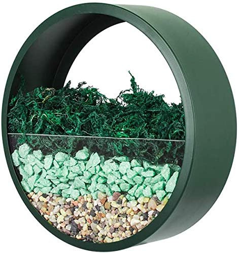 Macetas Colgantes Pared Modernas,Maceta para Flores Pared Colgante Florero DIY Bonsáis con Soporte Extraíble para Sala de Estar Ronda Metal Vaso Jarrones Macetero Plantador con Orificio Drenaje