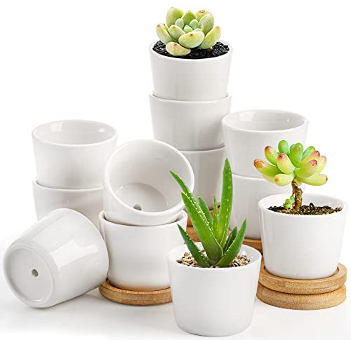 Tosnail Confezione da 12 piccoli vasi per piante grasse da 6,3 cm con 12 vassoi in bambù, mini vasi rotondi in ceramica bianca, piccole fioriere per piante grasse, cactus, fiori, contenitori per