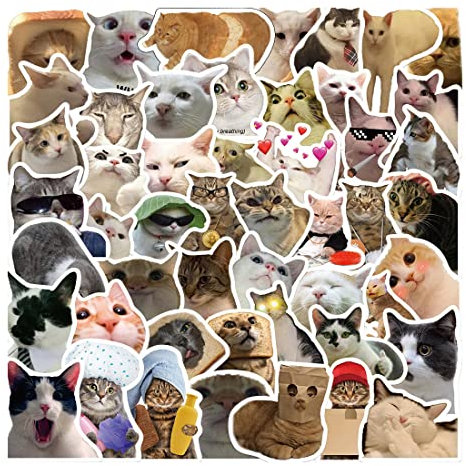 Katze Aufklebe, Laptop Wasserdicht Süße Katzen Aufkleber, Aufkleber 50 Stück Wasserdicht Vinyl Stickers Katzenausdruck Style Decals für Auto Motorräder Fahrrad Skateboard Snowboard Gepäck Aufkleber