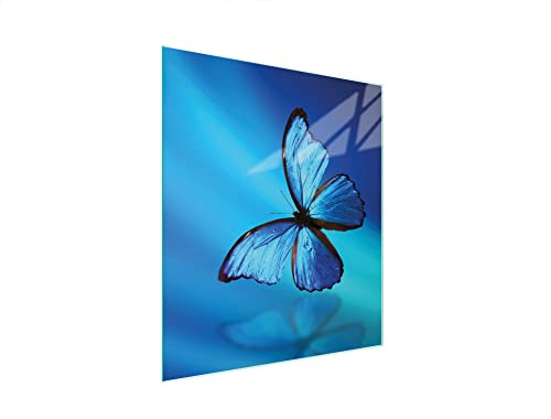 DarHaus Herdabdeckplatte Einteilig 45x52 cm Ceranfeld Abdeckung Glas Spritzschutz Abdeckplatte Glasplatte Herd Ceranfeldabdeckung Deko Gehärtetes Glas 4mm Schmetterling Blau