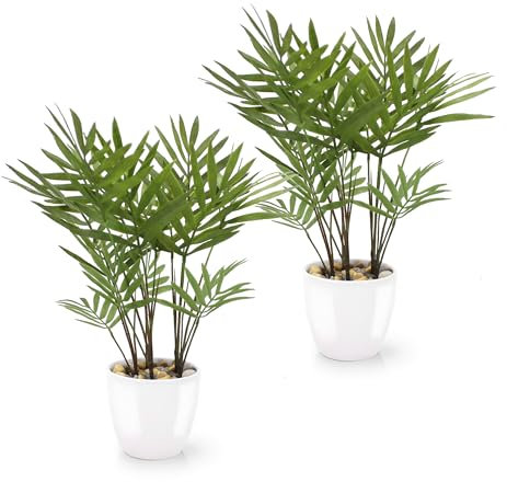 PASCH® Set di 2 Palme Artificiali Areca (25 cm) in Vasi in Ceramica Bianca: Piante Come Reali, in Vaso, Falso Pianta, Fiori