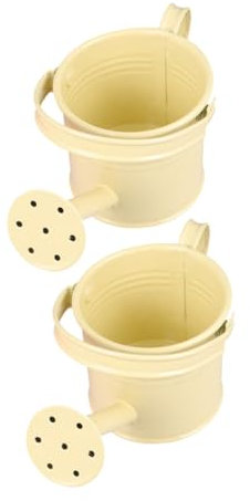 CIYODO 2St Gießkanne dekorative Vasen Gießkessel Wassertopf für Kinder im Garten Mini-Töpfe Kinder gartenwerkzeug gartengeräte für Kinder Sukkulenten-Bewässerungsgerät Eisen Beige