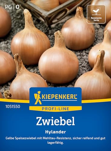 Kiepenkerl Profi-Line Zwiebelsamen Hylander 1051550 - Gemüsesamen für resistente Speisezwiebeln mit einer Wuchshöhe von 30 bis 40 cm - Gemüse Pflanzen, Saatgut