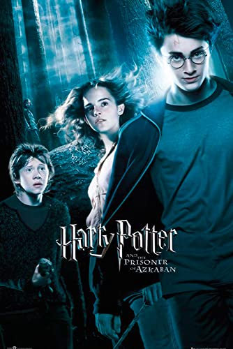 Harry Potter Close Up Gefangene von Azkaban Poster (61cm x 91,5cm)