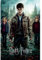 Harry Potter und die Heiligtümer des Todes 7 Poster - Poster Großformat