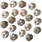 Knober 20 X Stück Set | Erdfarbend | | Montur aus Edestahl | Möbelknöpfe 40mm Knauf | Türgriff Gewinde metrisch M3 | handbemalt | Set 03