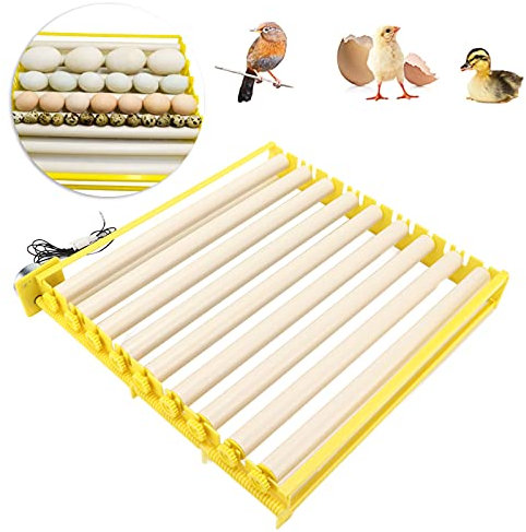 Bandeja Para Incubadora De Huevos Volteador Automático De Huevos De Gran Capacidad Para Incubar Pollos Huevo Pájaro Pato Codorniz[220 V] Bolsas para llevar comida y sándwiches
