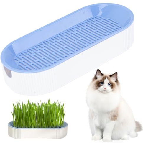MOUNTTU Cat Grass Planter, Dual Layer Detachable 8.3x3.6x1.8in Home Cattery Cat Grass Growing Kit Cat Supplies, No Seeds