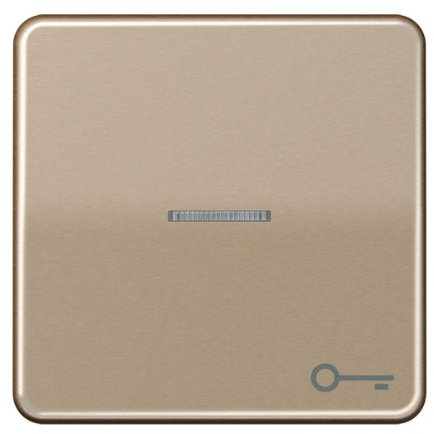 Jung CD590KO5TGB Wippe mit Symbol Tür KO