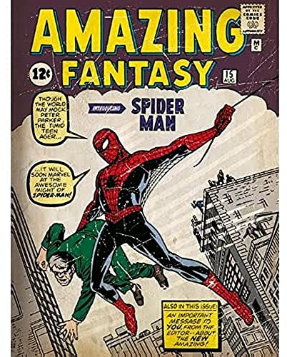 Marvel Comics Spider-Man Issue 1, 60 x 80 cm, Leinwanddruck, Mehrfarbig