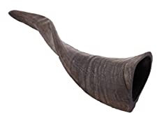 Brillibrum Design 1 Schafhorn dunkel Schafhörner EIN kleines Schaf-Horn poliert Gehörn Widder kleines Ziegenhorn Methorn Jagd Geweih Horn 12-15 cm