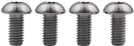 Ruifu Schraubenset für Wasserflaschenhalter aus Titanlegierung, M5 x 8, 10 und 12 Schrauben für Fahrrad, Mountainbike, 4 Stück (Titan, M5 x 10 mm)