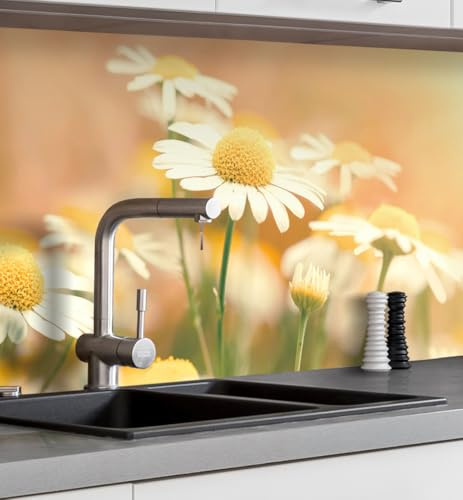 MyMaxxi Küchenrückwand selbstklebend – Matte, 0,4 mm Premium Spritzschutz Folie günstige Alternative zu Glas, einfache Montage & leichte Reinigung – Motiv: Blumenwiese Margeriten B 180 cm x H 60 cm