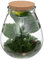 Atmosphera - Terrarium Bota - Verre - H29-5 cm