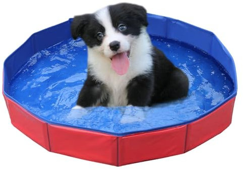 SEMINISMAR Piscine Chien Petit, 60x20cm, Ronde, Rouge Bleu, PVC, Bassin de Baignade pour Chats, Enfants et Animaux de Compagnie