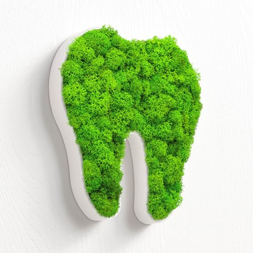 MOOSWERK Moos Türschild Zahnarzt Zahn Ärzte Piktogramm Weiß | Islandmoos Praxisschild für Zahnarztpraxis & Dentalklinik | Modernes Wandschild
