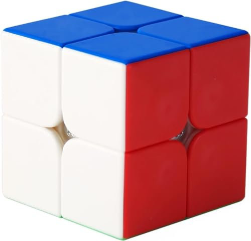 Moyu RS2M Magnetic 2x2 Speedcube Magic Cube Stickerless Mini Cube for Beginners