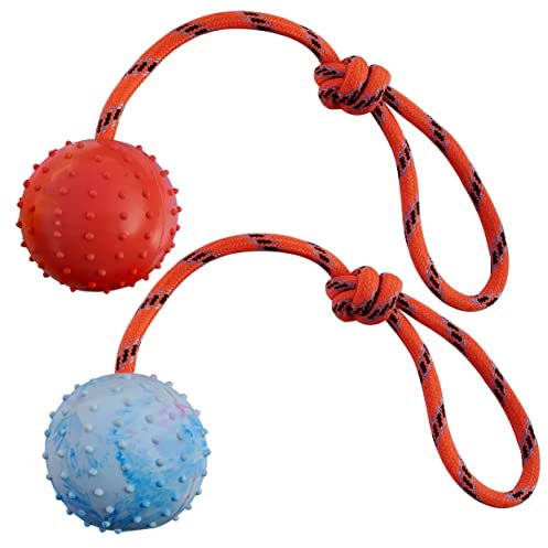 MMSGA Palla per Cane con Corda,Palla da Addestramento Cani e Catti,Palla Cava in Gomma Naturale Per Catturare