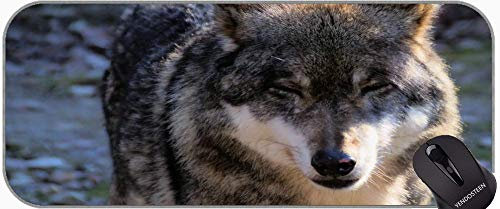 Großes Gaming-Mauspad, pelziges Mauspad Wolf Wolf Animal Animal Hunter mit genähten Kanten