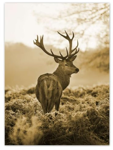 Generisch Wandsticker Dekor Foto Aufkleber 100 x 135 cm Hirsch im Wald Nr. H1962Z_NS1AR