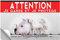Adesivo plastificato Attenzione al cane dogo argentino