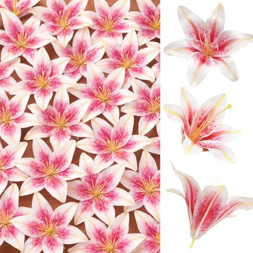 SNAIL GARDEN 24PCS 5.5 Large Fake Lilies Flower Heads with Realistic Stamens,24PCS Pink Artificial Flower Heads, Bulk Silk Flowers for Crafts, Cake Decorating, Wedding Party Wreath, Home Decor