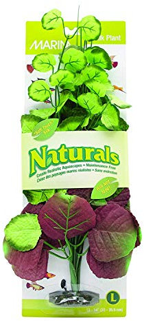 Marina Planta de Seda Natural de Pennywort, Grande, 33 x 35,5 cm