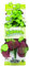 Marina Planta de Seda Natural de Pennywort, Grande, 33 x 35,5 cm