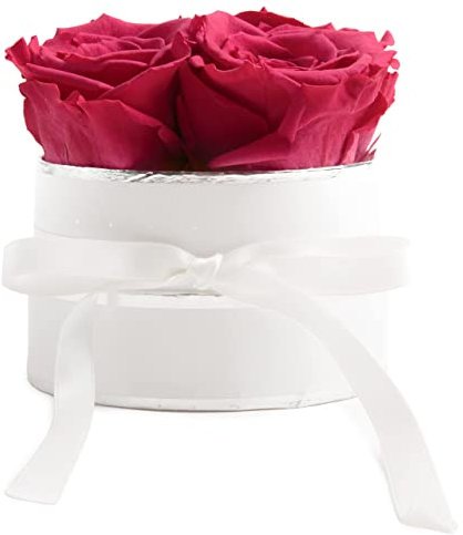 ROSEMARIE SCHULZ Heidelberg Rosenbox rund Infinity Rosen Pink - Blumenbox in Weiß 4 konservierte Rosen haltbar 3 Jahre - Geschenke für Freundinnen (Small, Weiß-Pink)