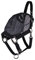 netproshop Kombination Halfter mit Fester Fliegenmaske ohne Ohren Schwarz Pony/Cob/Full, Groesse:Full, Farbe:Schwarz