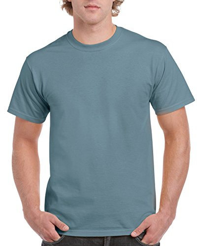 Gildan Men's G2000 Ultra Cotton Adult T-Shirt, Stone Blue, Large
