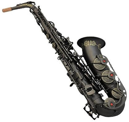 Saxophone E Flat Altsaxophon Matt Full Black Nickel Saxophon Koffer oder Segeltuch Tasche Anfänger Saxophon
