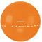 TrendySport Bureba Ball Gymnastikball inkl. Handpumpe 65cm orange