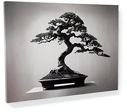 Sense Canvas Bonsai-Baum 14 Leinwand-Kunst, Heimdekoration, Wandkunstdruck, Poster, Gemälde, groß, 40 x 30 / 1,9 cm