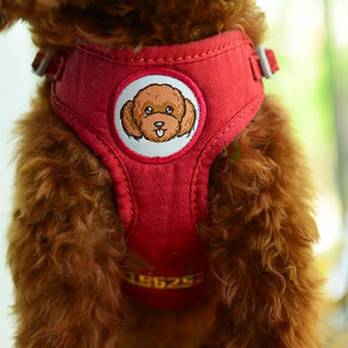 Hundegeschirr zum Ziehen, personalisierbar mit Namen und Telefonnummer, Haustierweste für kleine Hunde, um Verlust, Zerren, Ziehen oder Würgen zu verhindern, Training und Spazierengehen, mit 1,5 m