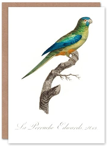 Artery8 Francois Levaillant Art Card Turquoise Ground Parakeet