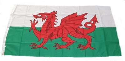 Fahne/Flagge Wales NEU 60 x 90 cm Fahnen
