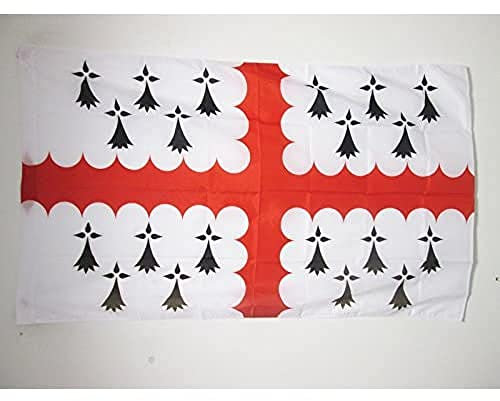 AZ FLAG - Drapeau Pays de Vannes - 90x60 cm - Drapeau Vannetais En Pays De Waroch 100% Polyester Avec Fourreau et Cordelette - Pavillon 50 g