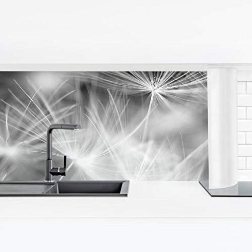 Bilderwelten Küchenrückwand Folie Glänzend 60x210 cm Bewegte Pusteblumen Nahaufnahme Spritzschutz Fliesenspiegel Küche-Rückwand Motiv Klebefolie