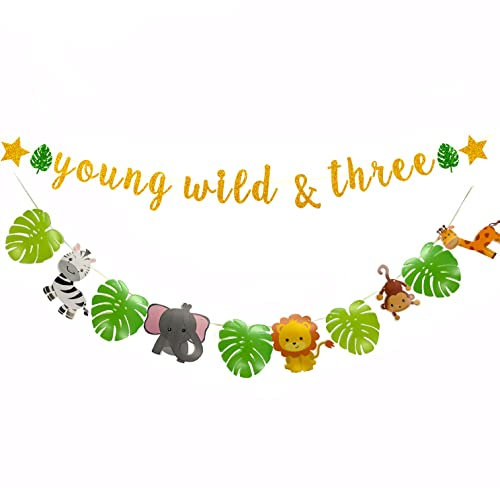 Young Wild & Three Banner, Happy 3rd Birthday Banner, Boy or Girl Three Years Old Party Decorations Supplies Gold Glitter